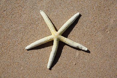 《喋血复仇》Steam商店页面更新 现已采用D加密保护